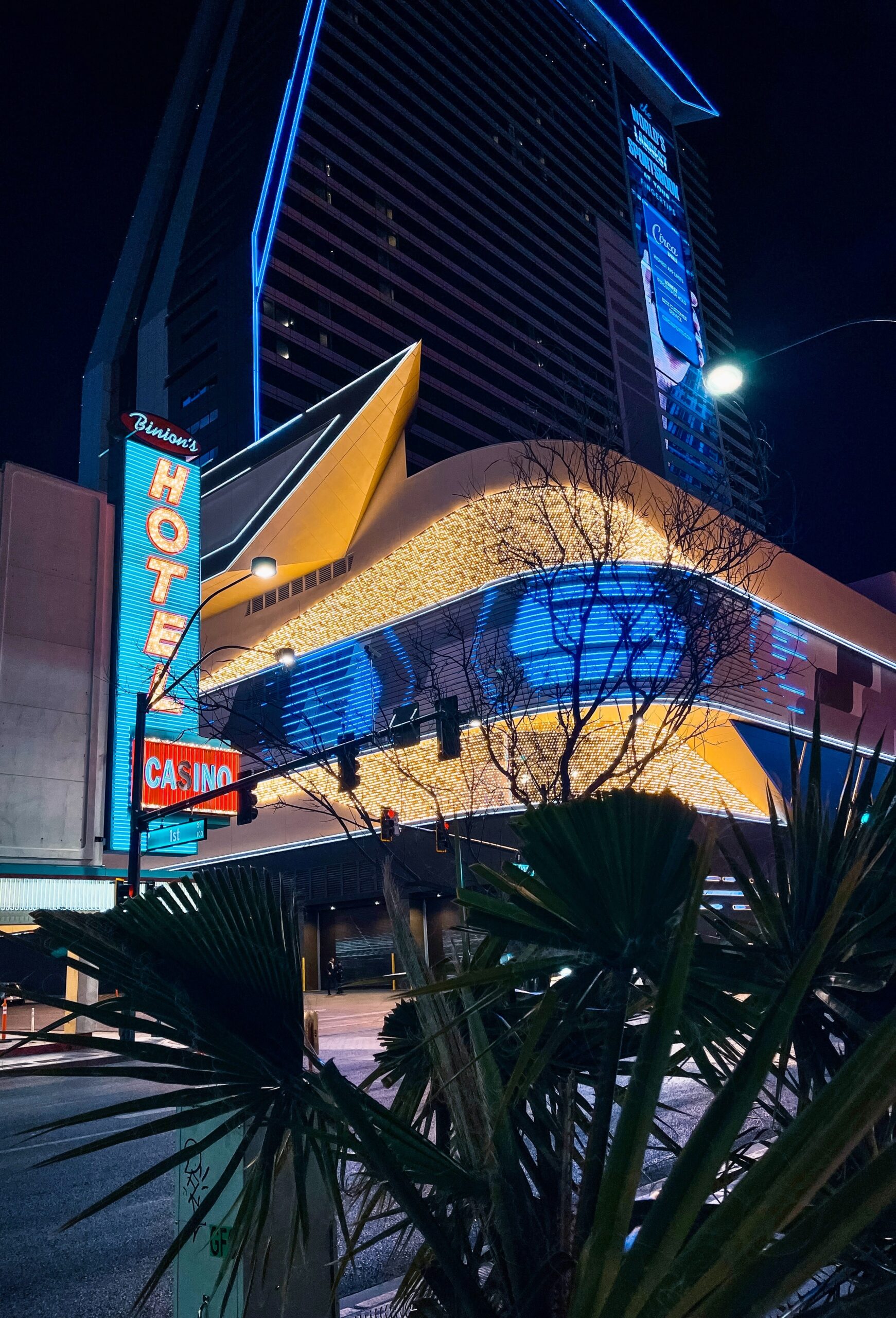 exterior hotel casino at night